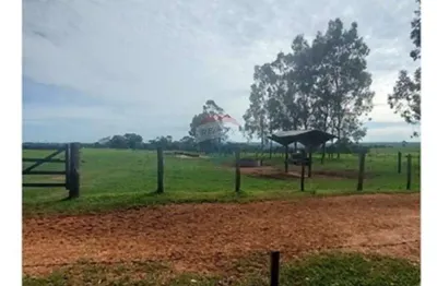 Fazenda com 131 alqueires à venda na região de araçatuba/sp - pecuária