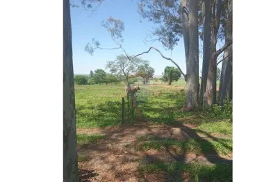 Fazenda de 159 alqueires à venda na região de valentim gentil/sp - cana
