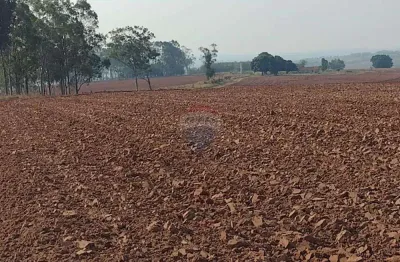 Fazenda 140 alqueires à venda na região de tupã/sp - cana