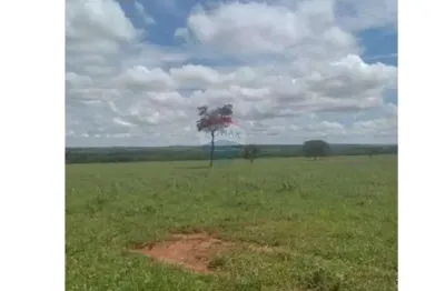 Fazenda de 84 alqueires - lavoura - região de junqueirópolis/sp à venda