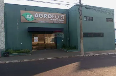 Oportunidade de locação: galpão de 600m² em avenida
