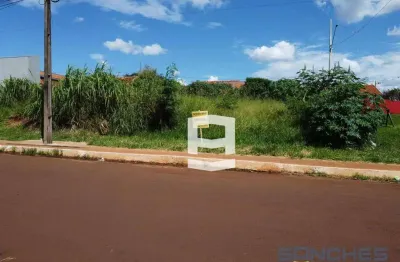 Terreno à venda, 302 m² por r$ 60.000,00 - vila reis - apucarana/pr