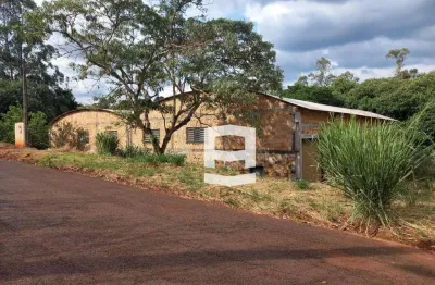 Barracão à venda, 600 m² por r$ 1.200.000,00 - jardim menegazzo - apucarana/pr