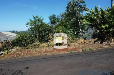 Terreno à venda, 378 m² por r$ 105.000,00 - jardim morada do sol - apucarana/pr