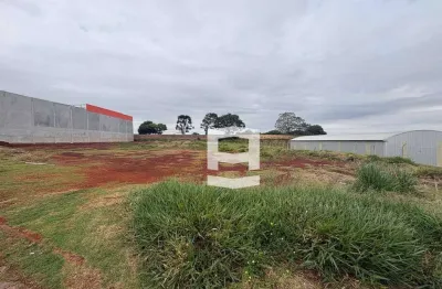 Terreno à venda, 2500 m² por r$ 625.000,00 - parque industrial zona norte - apucarana/pr