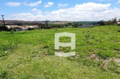 Terreno à venda, 3000 m² por r$ 480.000,00 - recanto mundo novo - apucarana/pr