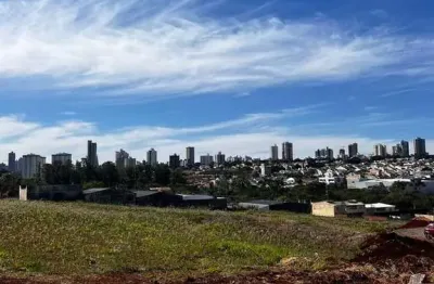 Terreno ao lado da nildo ribeiro, próximo a gleba itororo