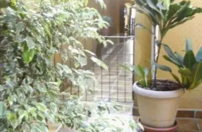 Casa com 4 quartos à venda na rua júlio rebollo perez, 323, jardim peri peri, são paulo, 300 m2 por r$ 1.600.000