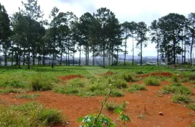 Terreno à venda na estrada de são bento, 1300, pinheirinho, itaquaquecetuba, 23610 m2 por r$ 20.020.000