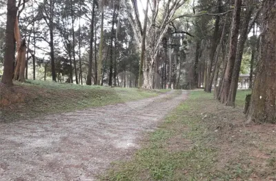 Barracão / galpão / depósito à venda na rua ana do sacramento andrade, 1011, furnas, são paulo, 2800 m2 por r$ 15.000.000