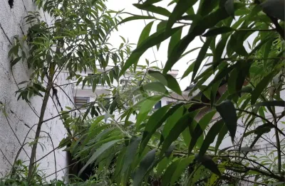 Terreno à venda na rua eugênio da silva, 158, horto florestal, são paulo, 186 m2 por r$ 650.000