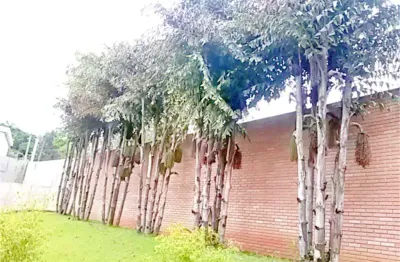 Terreno à venda na estrada do corisco, 4929, jardim uniserve, são paulo, 1500 m2 por r$ 6.500.000