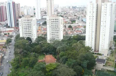 Apartamento com 3 quartos à venda na rua professor dorival dias minhoto, 333, lauzane paulista, são paulo, 95 m2 por r$ 990.000