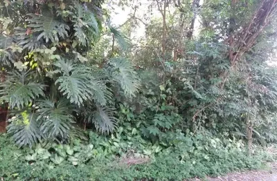 Terreno à venda na rua capitão luís rodrigues de albuquerque, 98, vila irmãos arnoni, são paulo, 572 m2 por r$ 1.200.000