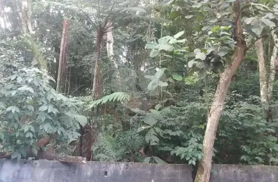 Terreno à venda na rua coronel agostinho da fonseca, 1, tucuruvi, são paulo, 5951 m2 por r$ 1.200.000