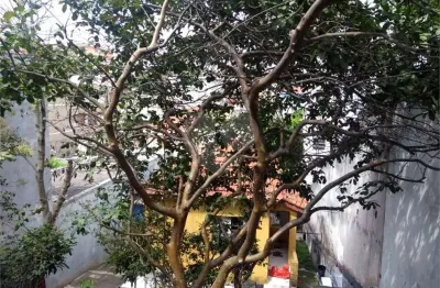 Terreno à venda na rua paulo de avelar, 564, vila dom pedro ii, são paulo, 301 m2 por r$ 960.000