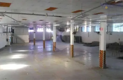 Barracão / galpão / depósito para alugar na avenida mutinga, 4105, jardim santo elias, são paulo, 2074 m2 por r$ 65.000