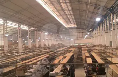 Barracão / galpão / depósito à venda na avenida santa ifigênia, 145, vila paraíso, guarulhos, 5500 m2 por r$ 12.995.000