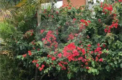 Terreno à venda na rua theodomiro moraes cunha, 111, horto florestal, são paulo, 500 m2 por r$ 1.200.000