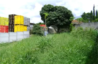 Terreno à venda na avenida otávio braga de mesquita, 777, vila flórida, guarulhos, 1389 m2 por r$ 5.620.000