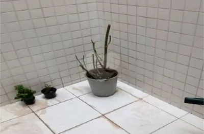 Casa em condomínio fechado com 3 quartos à venda na rua coronel vieira de castro, 76, imirim, são paulo, 123 m2 por r$ 850.000