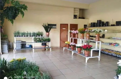 Apartamento à venda na avenida francisco falconi, 1020, jardim avelino, são paulo, 330 m2 por r$ 3.300.000