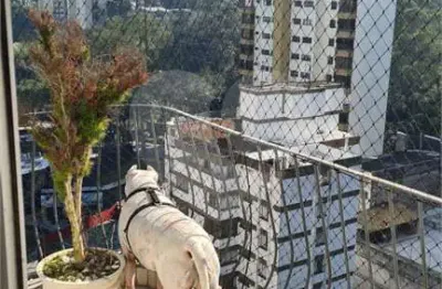 Apartamento com 3 quartos à venda na rua abdo ambuba, 277, vila andrade, são paulo, 209 m2 por r$ 1.350.000