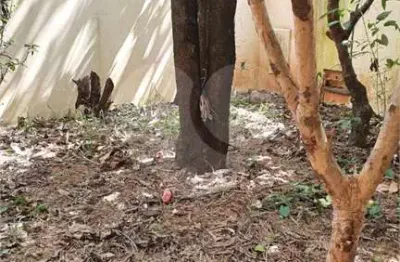 Casa com 2 quartos à venda na rua carlos del nero, 260, jardim hikare, são carlos, 262 m2 por r$ 600.000