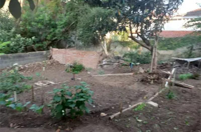 Terreno à venda na rua conchilia, 404, vila albertina, são paulo, 360 m2 por r$ 570.000