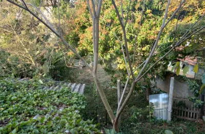 Terreno à venda na rua conchilia, 390, vila albertina, são paulo, 450 m2 por r$ 716.000