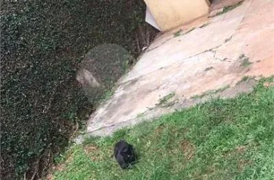 Casa em condomínio fechado com 4 quartos à venda na rua paulo peixoto, 85, jardim virgínia bianca, são paulo, 220 m2 por r$ 1.500.000