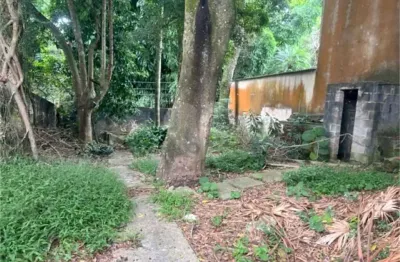 Terreno à venda na rua do horto, 1311, horto florestal, são paulo, 290 m2 por r$ 550.000