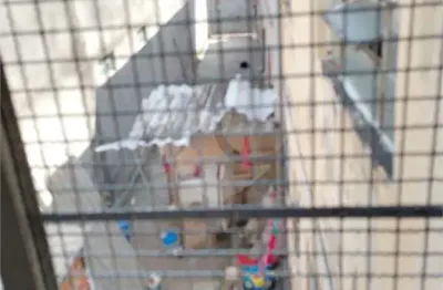 Casa com 2 quartos à venda na rua santo eliseu, 385, vila maria, são paulo, 300 m2 por r$ 1.200.000