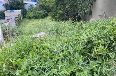 Terreno à venda na rua abadia dos dourados, 550, vila indiana, são paulo, 812 m2 por r$ 1.500.000