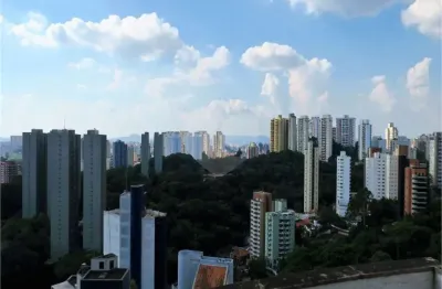 Apartamento com 4 quartos à venda na rua david gebara, 146, vila suzana, são paulo, 369 m2 por r$ 3.900.000