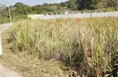 Terreno à venda na rua josé roschel rodrigues, 1, recanto campo belo, são paulo, 6187 m2 por r$ 1.500.000