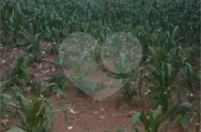 Terreno à venda na rua barão antônio de angra, 1, jardim bandeirantes, são paulo, 720 m2 por r$ 800.000