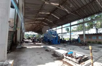 Terreno comercial para alugar na avenida professor joaquim barreto, 841, centro, cotia, 16000 m2 por r$ 60.000