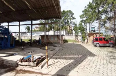 Terreno comercial para alugar na avenida professor joaquim barreto, 841, centro, cotia, 16000 m2 por r$ 60.000