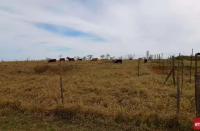 Chácara / sítio à venda na Praça Mário Ribeiro da Siva, Centro, Piratininga