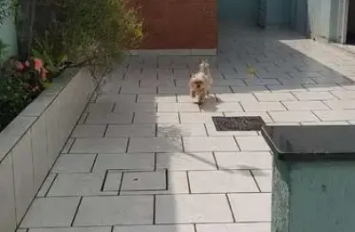 Casas pq são lucas - reformadas - 2 imóveis no mesmo terreno de 9x34