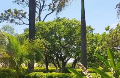 Chácara / sítio à venda na Rua dos Coqueiros, 9, Vila Ipê Amarelo, Contagem