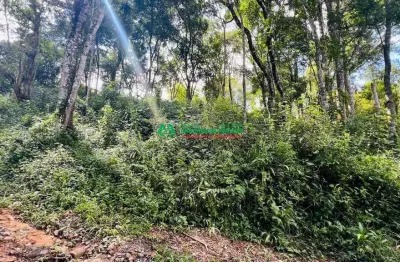 Terreno à venda na Rua Bauru, 1628458, Los Álamos, Vargem Grande Paulista