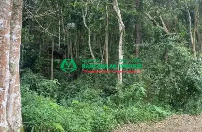 Terreno à venda na irlanda do norte, 55, jardim santa paula, cotia por r$ 150.000