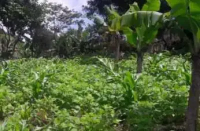 Chácara / sítio com 1 quarto à venda no Tatetos, São Bernardo do Campo 