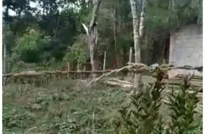 Chácara / sítio à venda no Tatetos, São Bernardo do Campo 