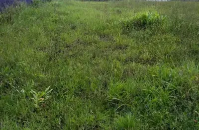 Chácara / sítio à venda no Zanzala, São Bernardo do Campo 