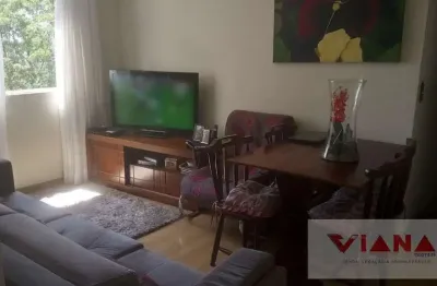 Apartamento em santa terezinha  -  são bernardo do campo