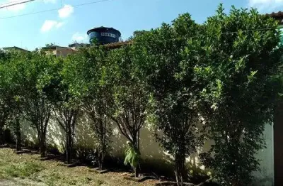 Casa com 2 quartos à venda na Cidade Recreio da Borda do Campo, Santo André 