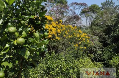 Chácara / sítio com 2 quartos à venda no Tatetos, São Bernardo do Campo 
